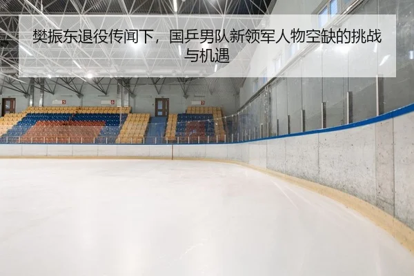 樊振东退役传闻下，国乒男队新领军人物空缺的挑战与机遇